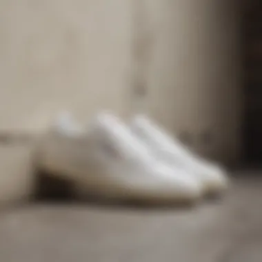 Magnificent Exploring the Reebok Club C 85 Vintage White: A Delve into History, Style, and Functionality