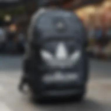 A stylish Adidas backpack designed for skateboarding, showcasing its unique features and design.