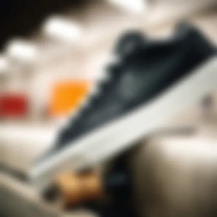 Sleek Design of Blazer Low Black Detailed view of the Blazer Low Black showcasing its sleek design and texture