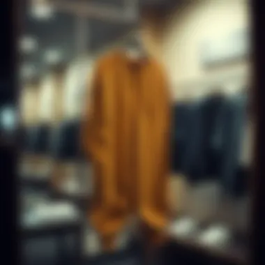 Jogger Hanging in a Stylish Fitting Room Jogger displayed on hanger in a fitting room