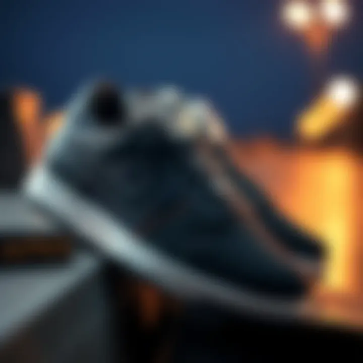 Collectible Evolution of Nike SB Zoom Stefan Collectible edition of Nike SB Zoom Stefan showcasing its evolution