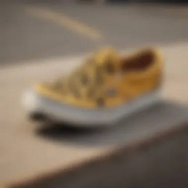 A collage of vintage skateboarding photographs featuring yellow checker vans.