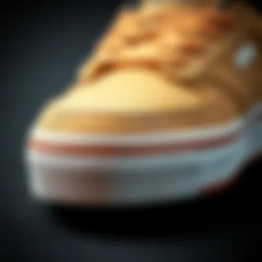 Materials of Etnies Cali Cut Shoe Detailed view of the materials used in the Etnies Cali Cut shoe.