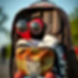 A close-up view of a stylish icon backpack with skateboard gear inside