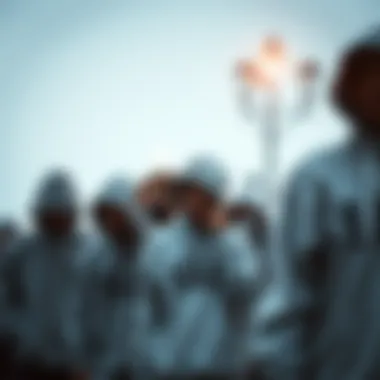 Diverse Styles of Grey Hoodies A collection of grey hoodies in various styles and shades