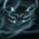 Close-up of fox head logo on skate apparel