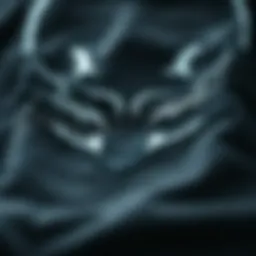 Close-up of fox head logo on skate apparel