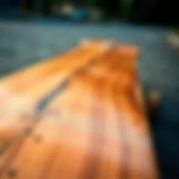 Close-up of termite skateboard showcasing unique wood grain