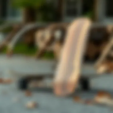 Innovative Comparison of Skateboard Materials Comparison of traditional versus termite wood skateboards