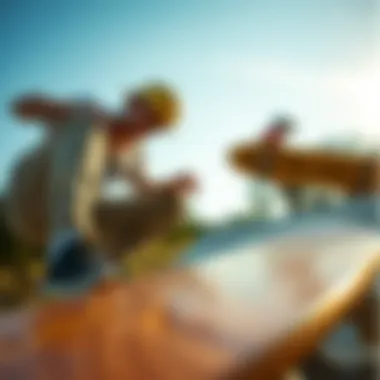 Sustainability in Skateboard Production Eco-friendly aspects of using termite wood in skateboarding