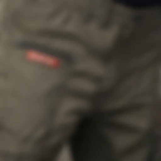 Close-up of Dickies cargo pants showcasing pockets and stitching