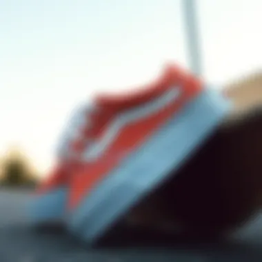 Vans footwear designed for skate culture