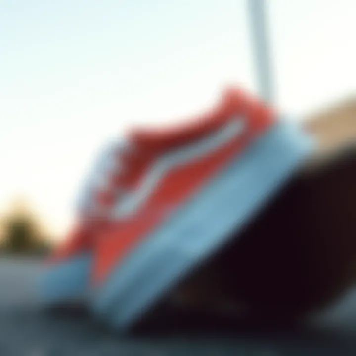 Vans footwear designed for skate culture