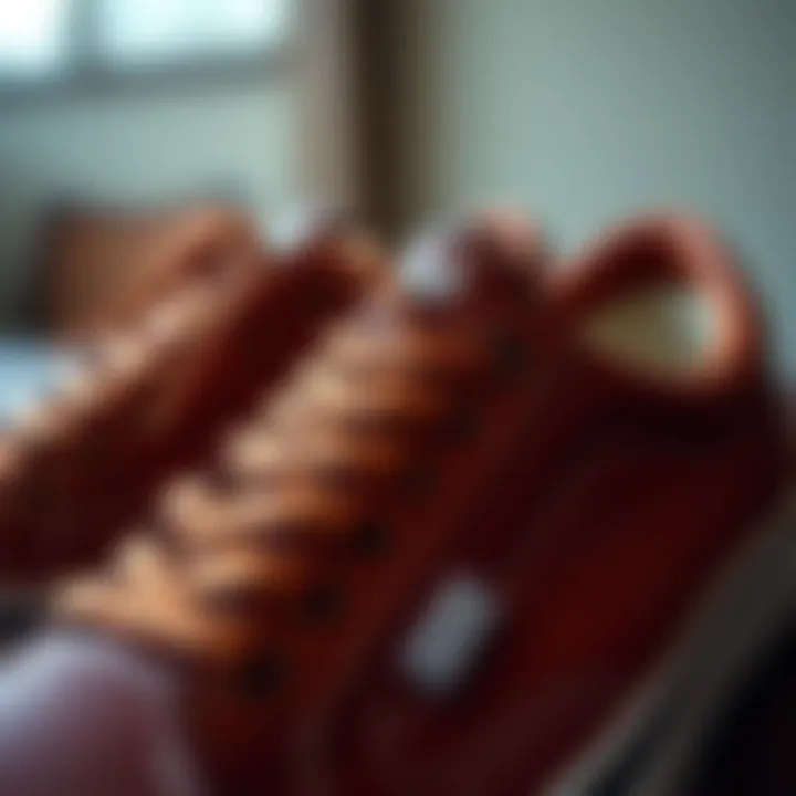 Craftsmanship Excellence in Vans Authentic Leather Brown Close-up of the Vans Authentic Leather Brown demonstrating its craftsmanship