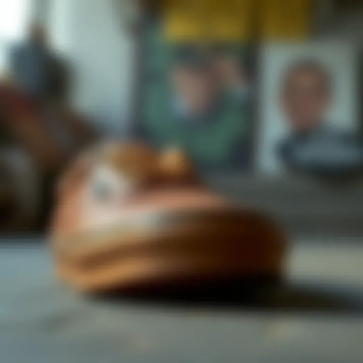 The Unique Texture of Vans Authentic Leather Brown Stylized view of Vans Authentic Leather Brown showcasing its texture