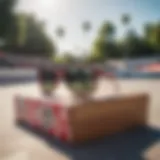 Vans checkerboard sunglasses displayed against a vibrant skate park backdrop