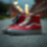 Classic silhouette of Vans Skate Hi Tops showcasing unique style.