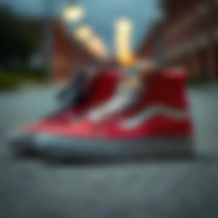 Classic Silhouette of Vans Skate Hi Tops Classic silhouette of Vans Skate Hi Tops showcasing unique style.