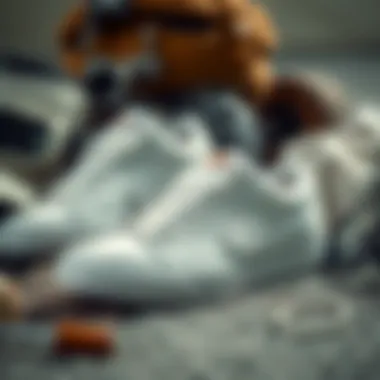 Styled Arrangement of White Janoskis A stylish arrangement of white Janoskis paired with skate gear