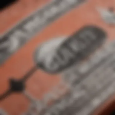 Close-up of authentic Nike SB tags and labels emphasizing quality and authenticity