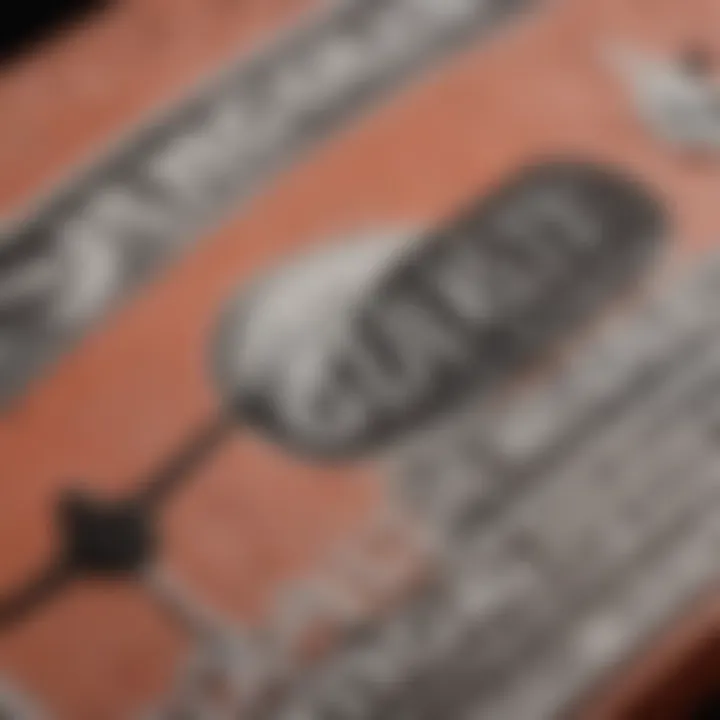 Close-up of authentic Nike SB tags and labels emphasizing quality and authenticity
