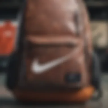 Close-up of the materials used in the Nike SB Icon Backpack