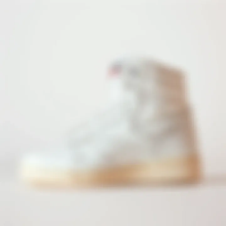 Elegance of the Reebok Freestyle Hi in White The Reebok Freestyle Hi in pristine white against a clean background