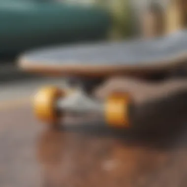 Close-up of skateboard deck showing width details