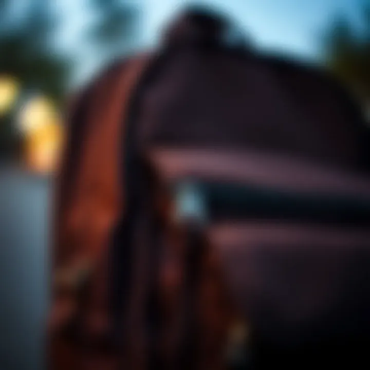 Functional Features of the Dark Brown Jansport Backpack Close-up of the functional features of the dark brown Jansport backpack