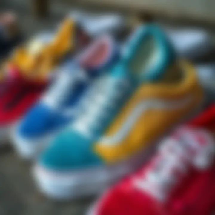 Diverse Colorways of Vans Old Skool A collection of Vans Old Skool in various colorways.