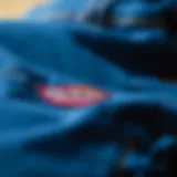 The Intricate Fabric of Blue Dickies A close-up of blue Dickies showcasing fabric texture and stitching