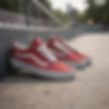 Vans shoes displayed in a skate park setting