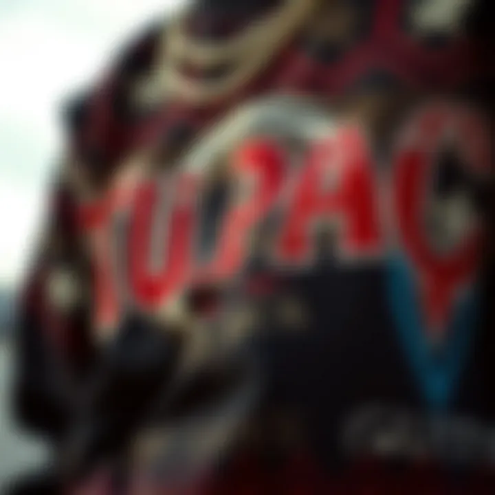 Design Elements of the Tupac Sweater Close-up of the design details of the Tupac sweater