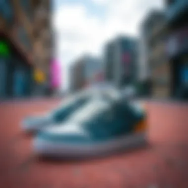 Stylish low skate shoes on a vibrant urban background