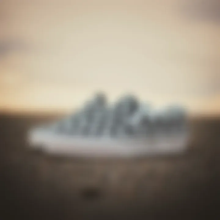 Classic Elegance of Black and White Vans Checkerboard Slip-Ons in classic black and white colorway