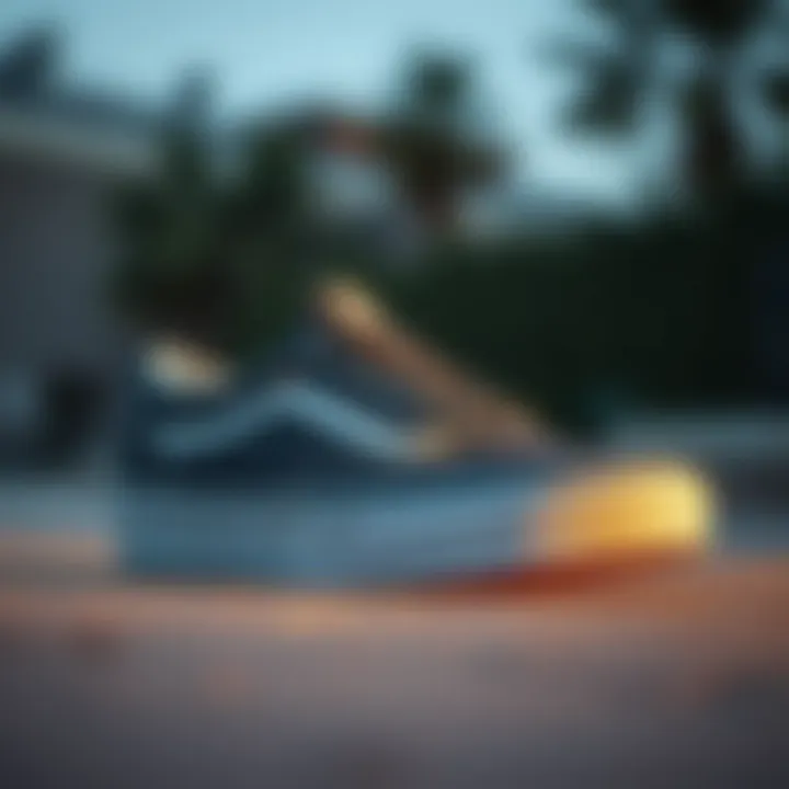 Vans UltraRange skate shoe showcasing its sleek design